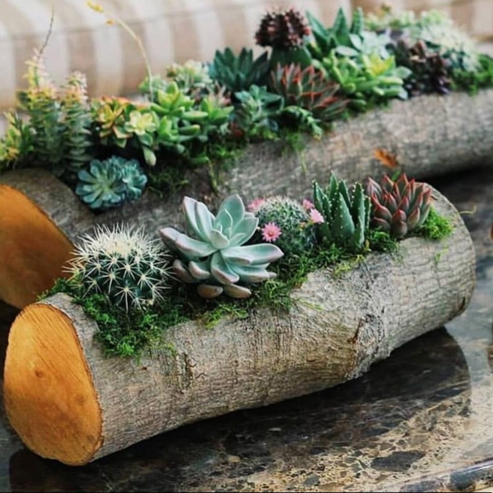 Meet your Posher, Caleigh